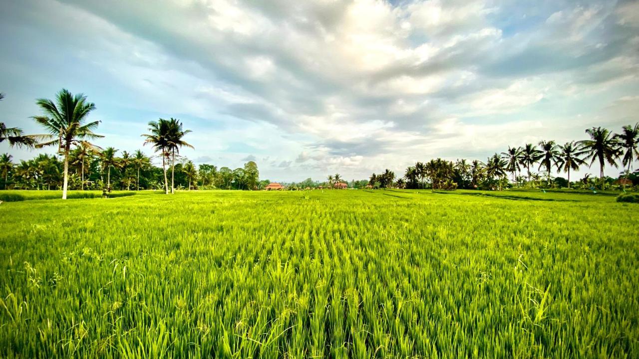 Sawah Ramah * Ubud (Bali)